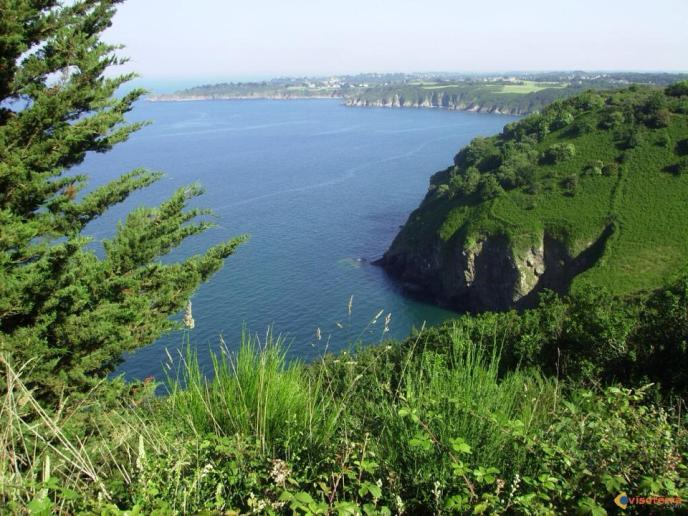 12081434_10154373079234896_1927206815_n (2)